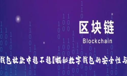 数字钱包放款中稳不稳？揭秘数字钱包的安全性与风险