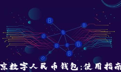 
全面解析北京数字人民币钱包：使用指南与发展前景