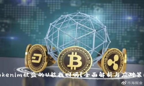 tokenim被盗的U能找回吗？全面解析与应对策略
