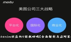tokenim被盗的U能找回吗？全面解析与应