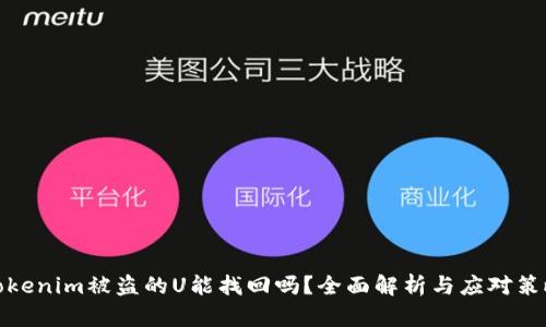 tokenim被盗的U能找回吗？全面解析与应对策略