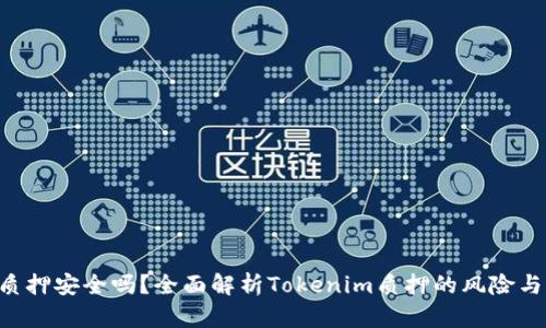 Tokenim质押安全吗？全面解析Tokenim质押的风险与保障措施