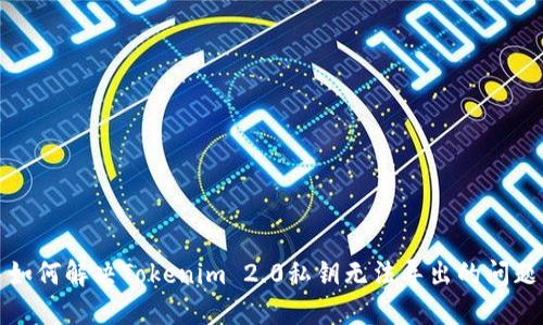 如何解决Tokenim 2.0私钥无法导出的问题