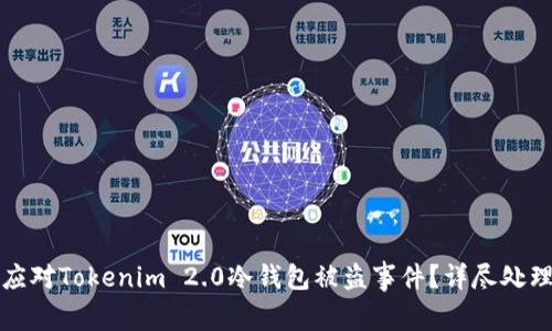 如何应对Tokenim 2.0冷钱包被盗事件？详尽处理指南