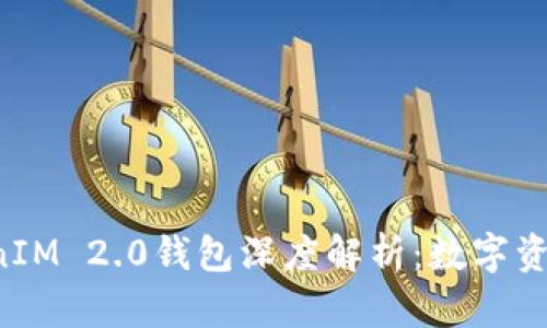 u币交易平台TokenIM 2.0钱包深度解析：数字资产管理的最佳选择