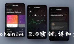 如何下载Tokenim 2.0密钥：详细步骤与指