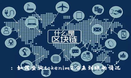 : 如何查询tokenim2.0未到账的情况
