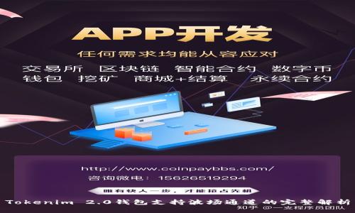 Tokenim 2.0钱包支持波场通道的完整解析