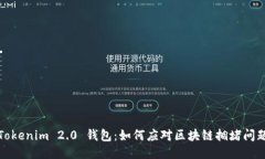 Tokenim 2.0 钱包：如何应对区块链拥堵问