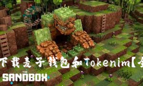 国内用户如何安全下载麦子钱包和Tokenim？全面指南与注意事项