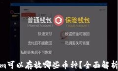 Tokenim可以存放哪些币种？全面解析与