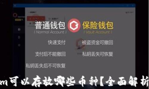 Tokenim可以存放哪些币种?全面解析与建议