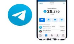 加密货币钱包使用详细讲解与最佳实践