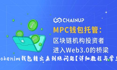 如何解决tokenim钱包转出未到账问题?详细教程与常见问题解析