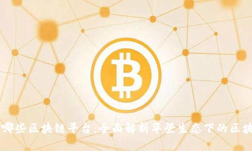 华登有哪些区块链平台：全面解析华登生态下的区块链项目