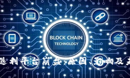 区块链返利平台崩盘：原因、影响及未来展望