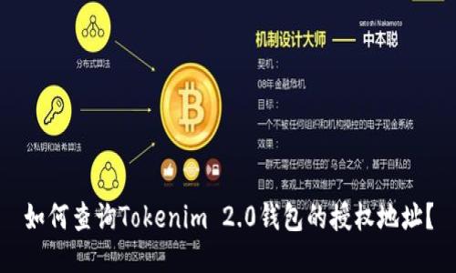 如何查询Tokenim 2.0钱包的授权地址？