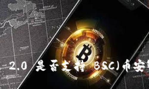 TokenIM 2.0 是否支持 BSC（币安智能链）？