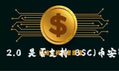 TokenIM 2.0 是否支持 BSC（币安智能链）