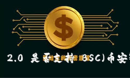 TokenIM 2.0 是否支持 BSC（币安智能链）？