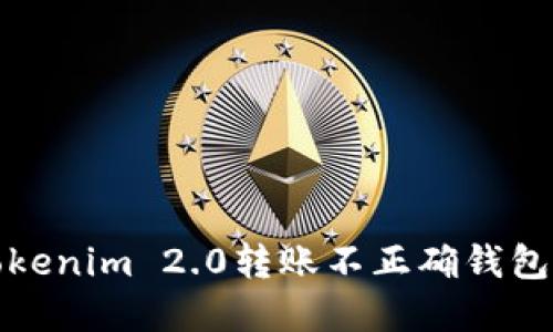 如何解决Tokenim 2.0转账不正确钱包地址的问题