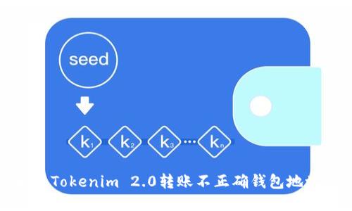 如何解决Tokenim 2.0转账不正确钱包地址的问题