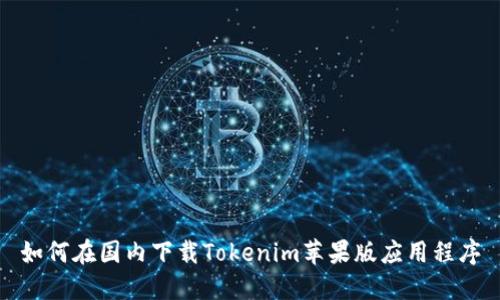 如何在国内下载Tokenim苹果版应用程序